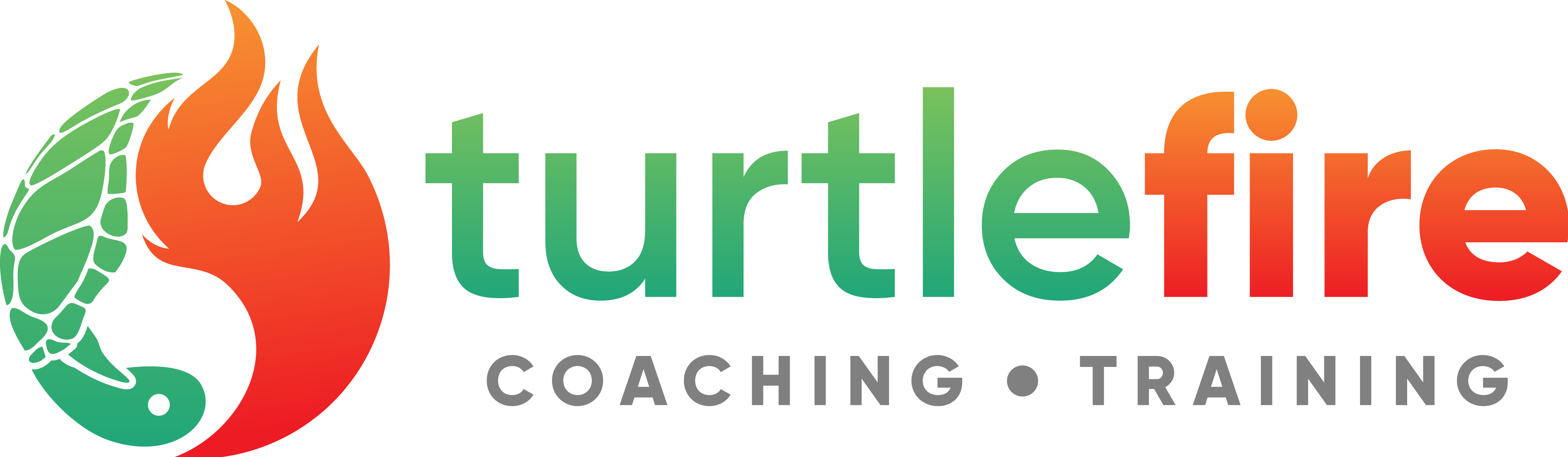 Turtle Fire Coaching and Training